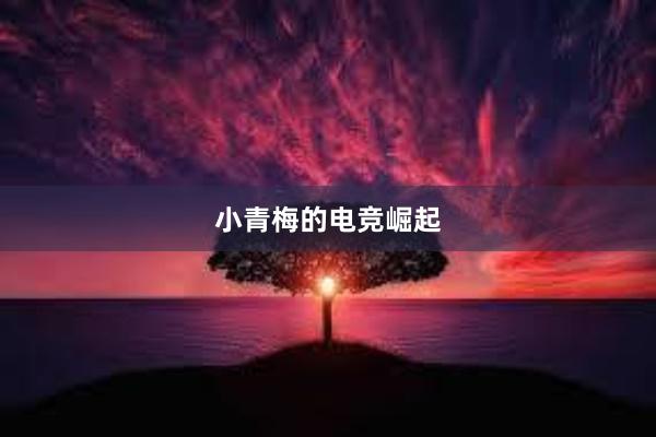 小青梅的电竞崛起