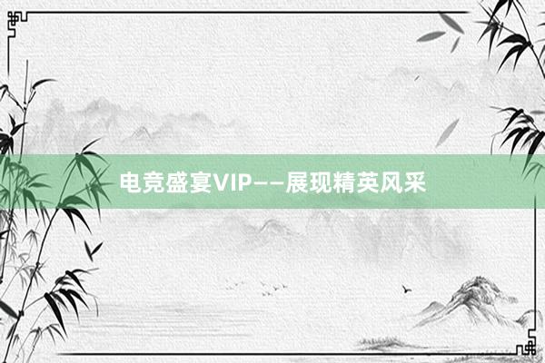 电竞盛宴VIP——展现精英风采