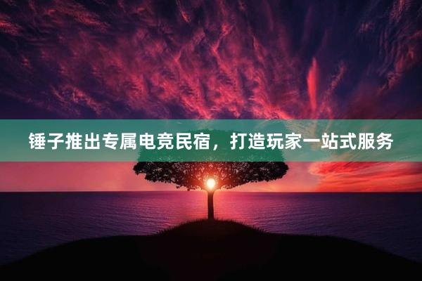 锤子推出专属电竞民宿，打造玩家一站式服务